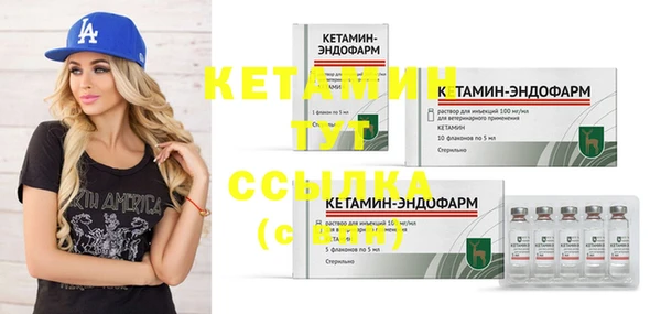 шишки Семилуки
