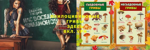 дурь Семикаракорск