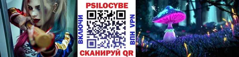Галлюциногенные грибы MAGIC MUSHROOMS Железногорск-Илимский